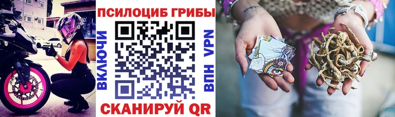 Купить где  Калуга  Псилоцибиновые грибы мицелий 